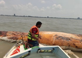 সুনামগঞ্জ